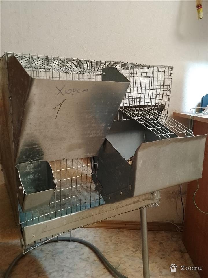 клетка для грызуна