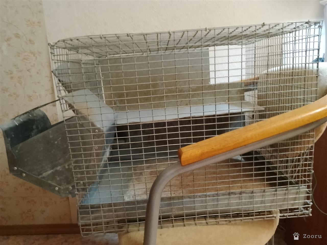 клетка для грызуна