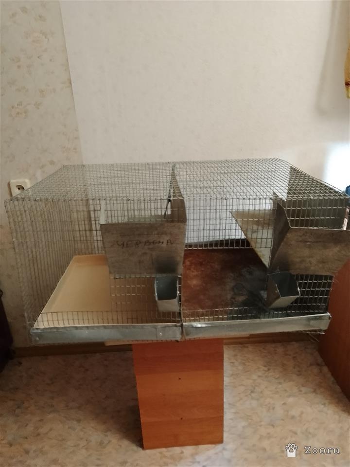 клетка для грызуна