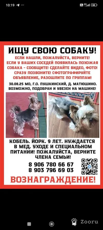 Йорк