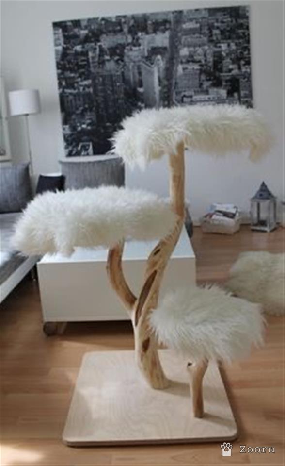 Когтеточки из натурального дерева 