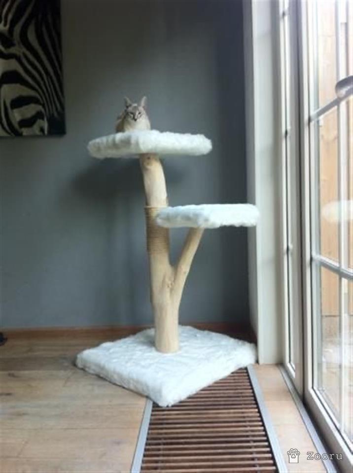 Когтеточки из натурального дерева 