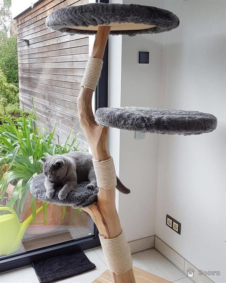 Когтеточки из натурального дерева 